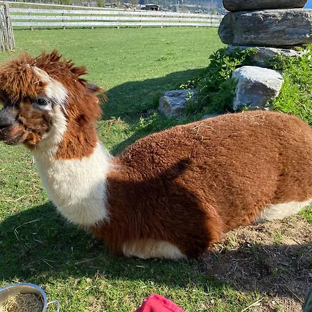 Laubichlhof Appartamento