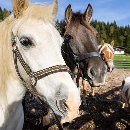 Laubichlhof Lägenhet
