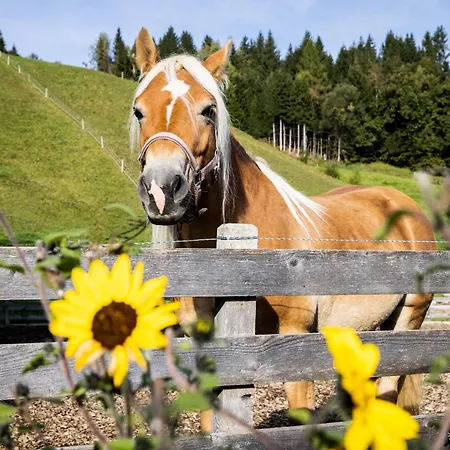 Appartamento Laubichlhof *