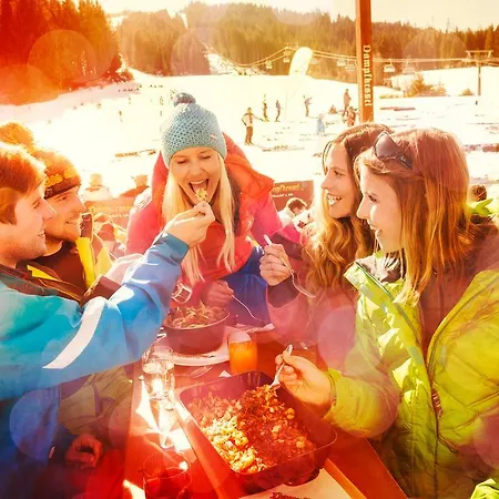 Laubichlhof Lägenhet Flachau